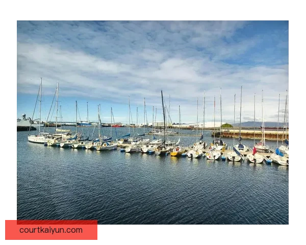 冰岛雷克雅未克主场近期表现稳健，竞争力持续提升